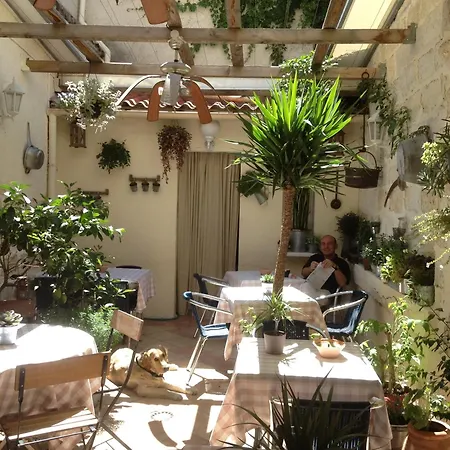 Hotel Restaurant Le Provencal Le Grau-du-Roi